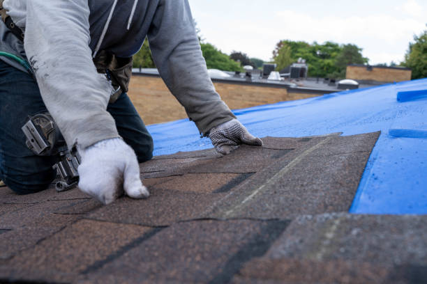 Best New Roof Installation  in Milam, TX