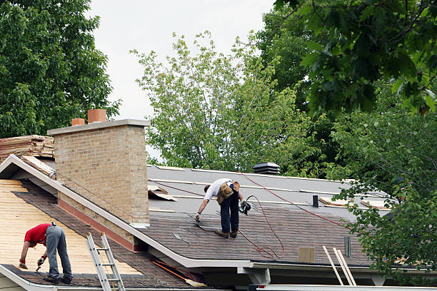 Best Roof Gutter Cleaning  in Milam, TX