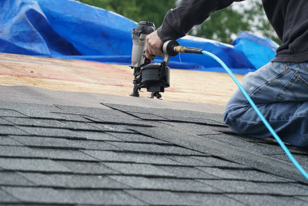 Best Shingle Roofing Installation  in Milam, TX
