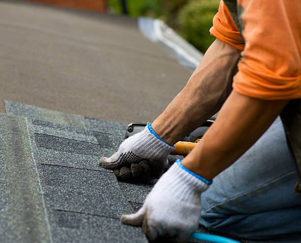 Best Flat Roof Repair Services  in Milam, TX